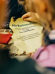 Bild - 99199c46-2953-4d08-a84d-4cf0b1726eba_2021-09-19_0310_unesco_10_jahre_weltnaturerbe_jasmund.jpg