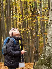 Image - 5c63744e-3967-419c-9029-ff25bc0255e9_herfst_dsc3108.jpg