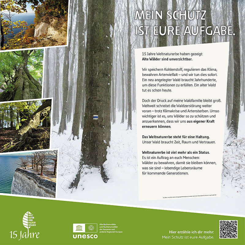 Das Bild thematisiert den Schutz von Wäldern und deren Bedeutung für das Klima. Es zeigt beeindruckende Naturfotos von Bäumen und Landschaften sowie einen Text, der die Verantwortung des Einzelnen zur Erhaltung dieser Ressourcen betont. Der Fokus liegt auf der Ermutigung zum aktiven Umweltschutz.