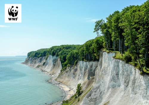 WWF-Erlebnistour "Wildes Rügen - UNESCO-Welterbe, Kreide & Meer"