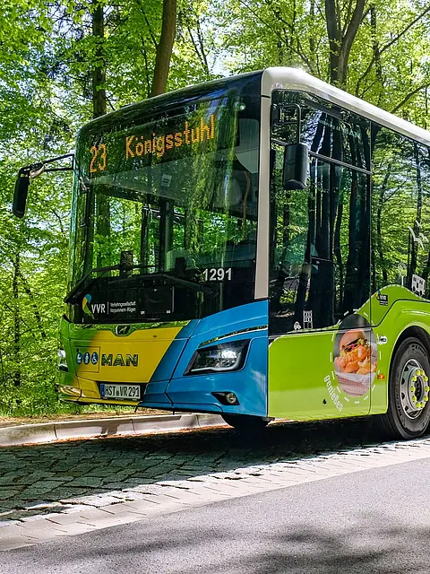 Ein moderner grüner Bus der Marke MAN steht an einer Straße, umgeben von Bäumen. Auf der Vorderseite zeigt er die Zielanzeige „Königstuhl“. Der Bus hat dekorative Grafiken, die verschiedene Produkte darstellen. Die Umgebung ist hell und einladend.