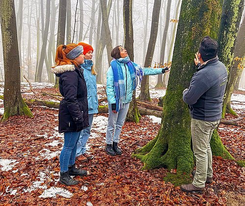 Waldbaden im Nationalpark Jasmund