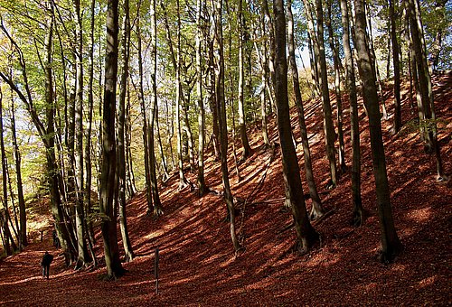 Archäologische Wanderung mit Dr. Katrin Staude