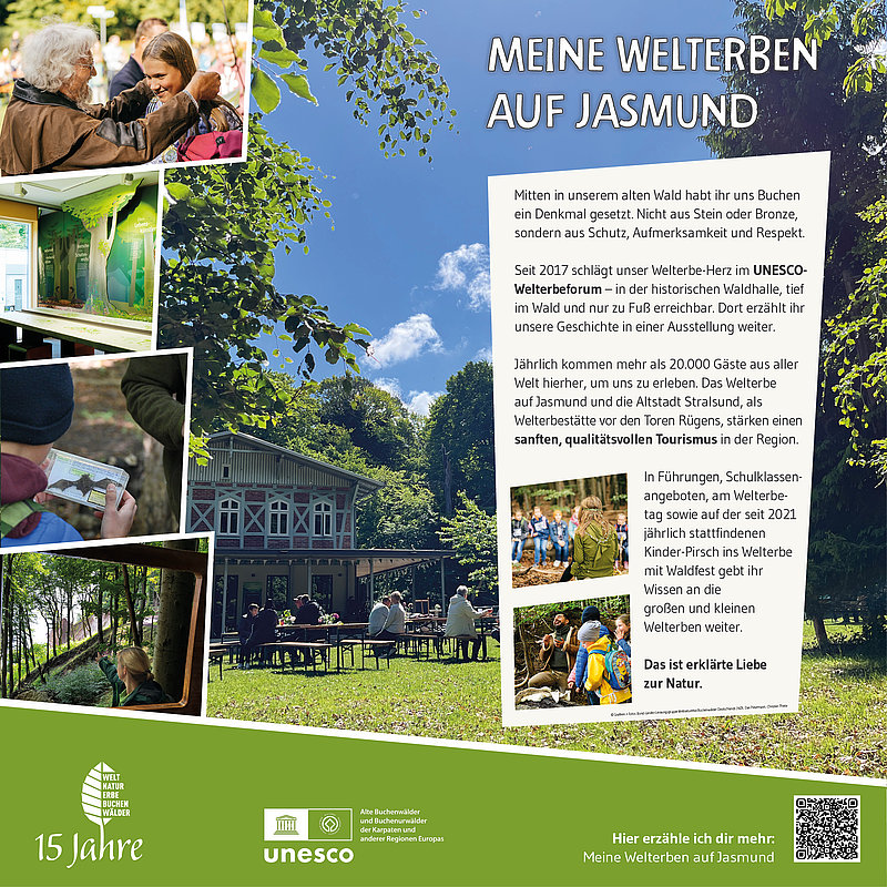 Ein Informationsplakat über das UNESCO-Welterbe Jasmund, das die Bedeutung des Waldes und den Schutz der Natur hervorhebt. Es informiert über die jährlichen Besucherzahlen und nachhaltige Tourismusangebote, während es die Liebe zur Natur betont.